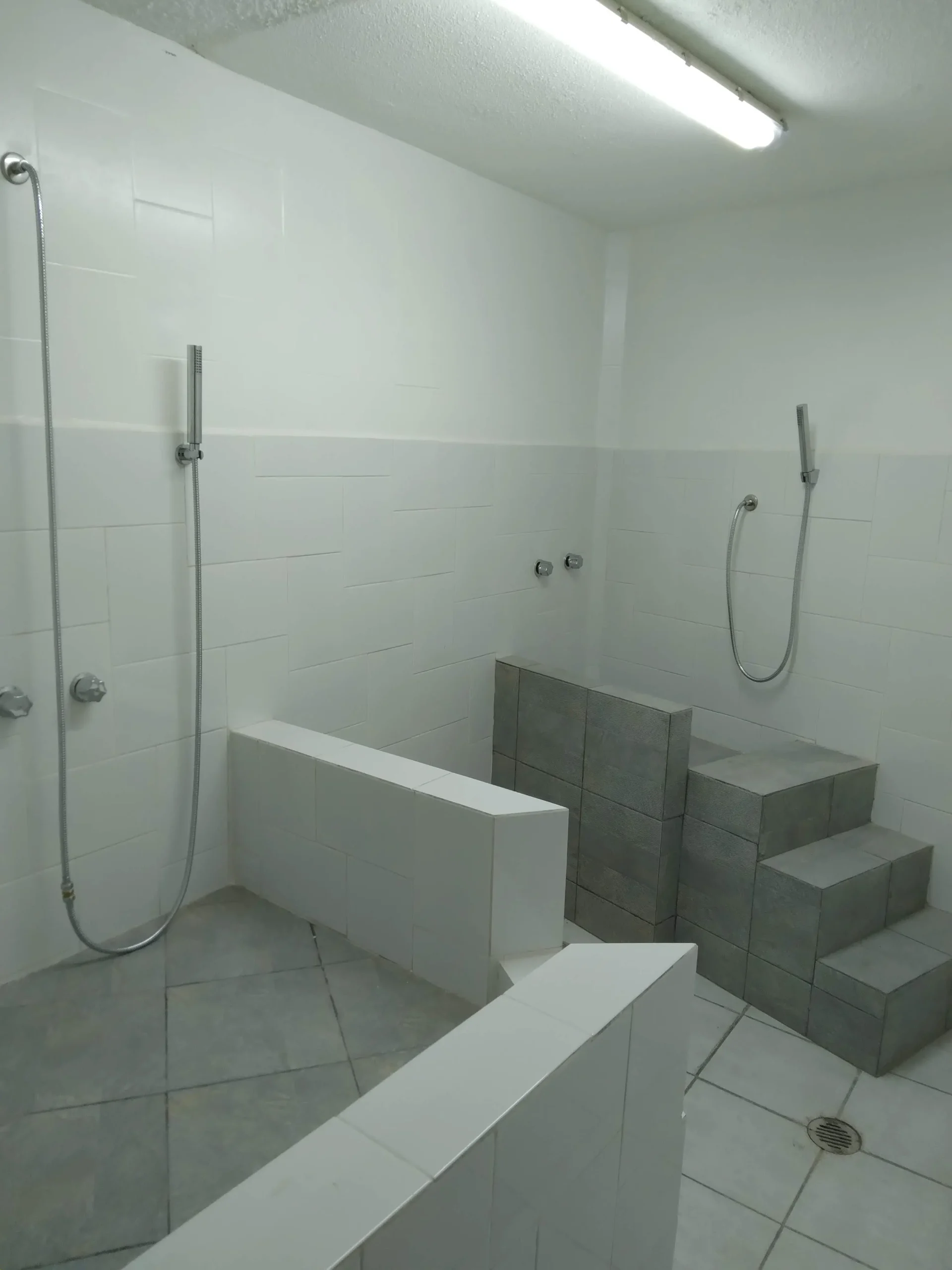 remodelación de veterinarias